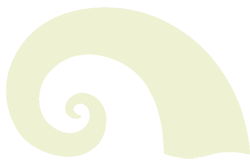Healing Spirit Animal Wellness Center
